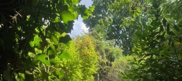 Casa de 4 divisões em Harburg, Germany N.º 145182 17