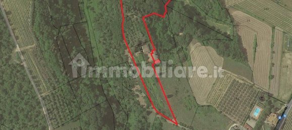 1 bedroom House in San Gimignano, Italy No. 323811 19