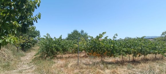 3 Schlafzimmer Haus in Velez-Blanco, Spain, Nr. 158582 6