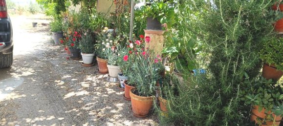 3 Schlafzimmer Haus in Velez-Blanco, Spain, Nr. 158582 27