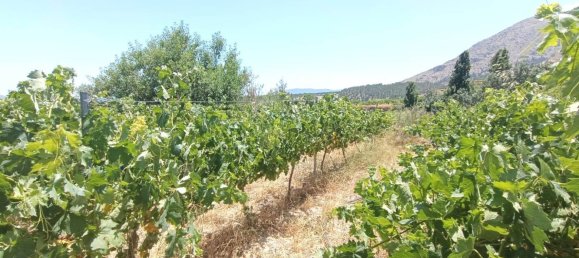 3 Schlafzimmer Haus in Velez-Blanco, Spain, Nr. 158582 36