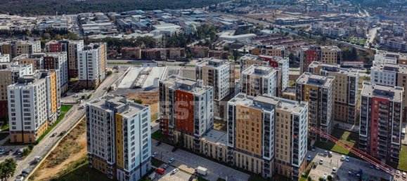 3-Zimmer Wohnung in Kepez, Turkey, Nr. 33638 22