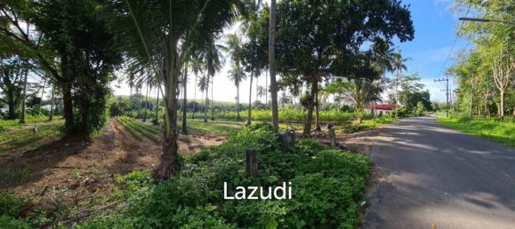 Propiedad comercial en Mai Khao, Thailand No. 14287 3