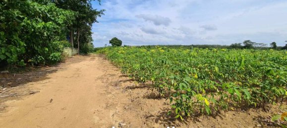 Propiedad comercial en Mai Khao, Thailand No. 14287 5