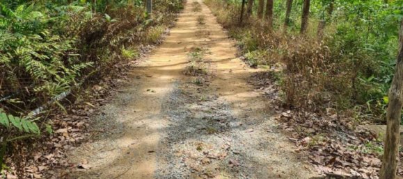 Propiedad comercial en Mai Khao, Thailand No. 14287 7