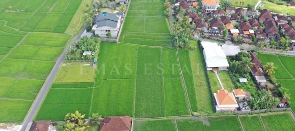  Land in Ubud, Indonesia No. 1159 3