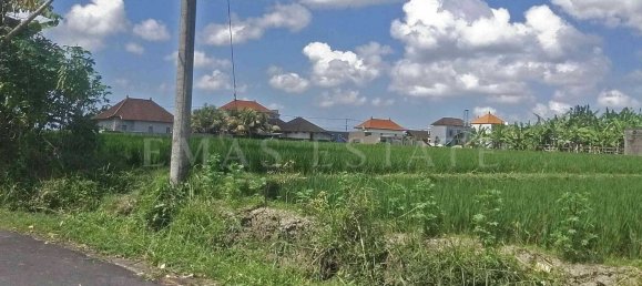  Land in Ubud, Indonesia No. 1159 9