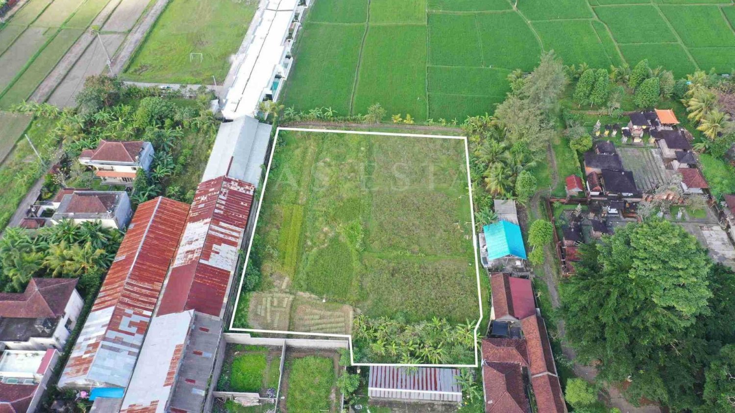  Land in Ubud, Indonesia No. 1159