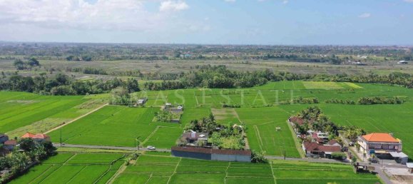  Land in Ubud, Indonesia No. 1159 8