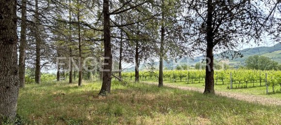 قطعة أرض في Montelparo, Italy 330متر مربع رقم 132075 13