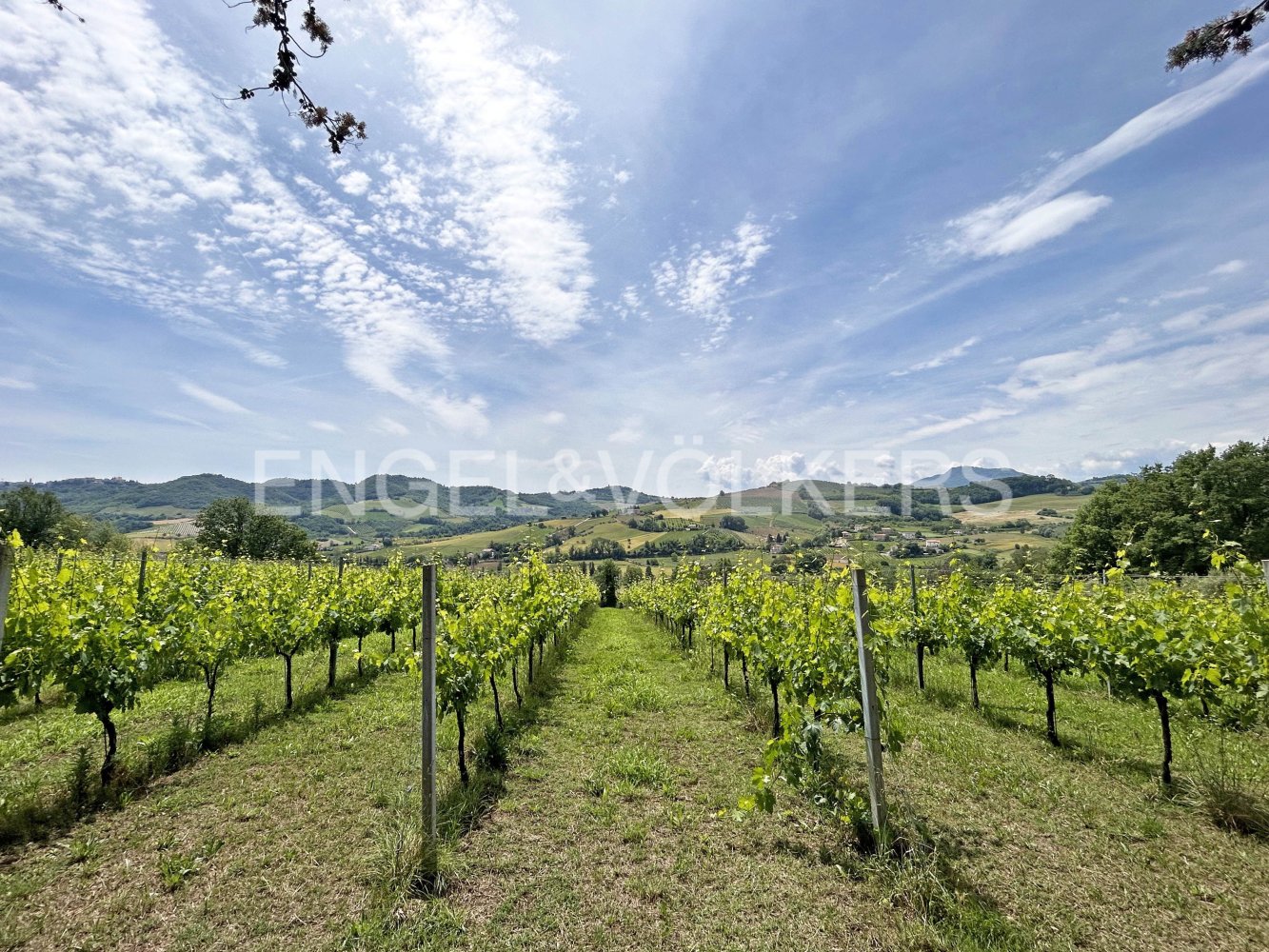  قطعة أرض في Montelparo, Italy 330متر مربع رقم 132075