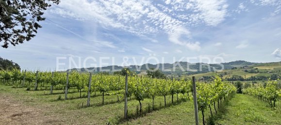 قطعة أرض في Montelparo, Italy 330متر مربع رقم 132075 2