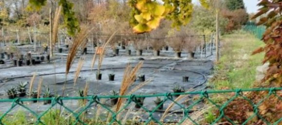 10000m² Land in Zola Predosa, Italy No. 264532 2