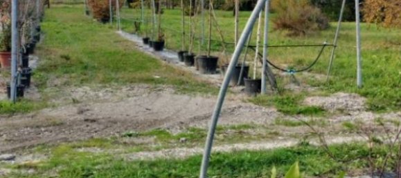 10000m² Land in Zola Predosa, Italy No. 264532 3