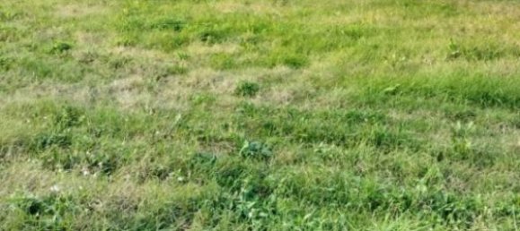 10000m² Land in Zola Predosa, Italy No. 264532 4