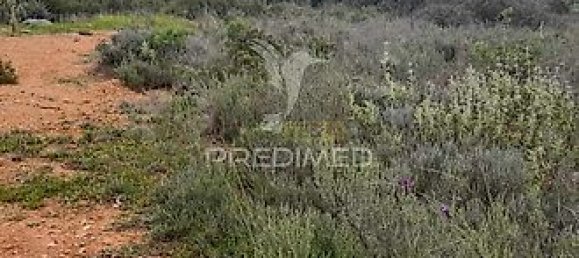 Grundstück in Quelfes, Portugal 3920m², Nr. 36011 2