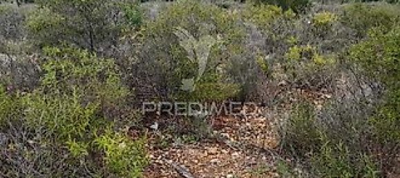 Grundstück in Quelfes, Portugal 3920m², Nr. 36011 3