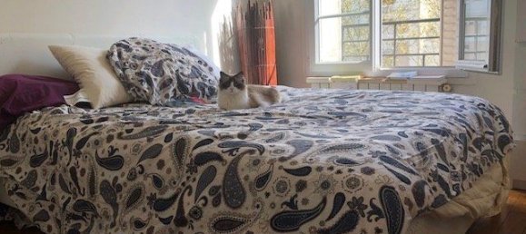 2 bedrooms Apartment in Boulogne-Billancourt, France No. 162548 4