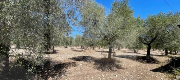 1غرفة قطعة أرض في San Giovanni Rotondo, Italy رقم 31371 2