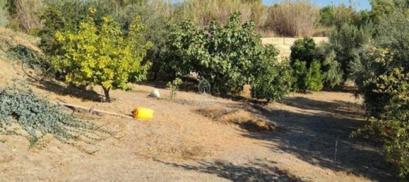 3 Schlafzimmer Villa in Moni, Cyprus, Nr. 18732 13