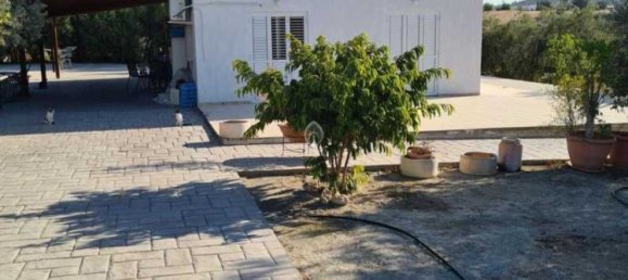 3 Schlafzimmer Villa in Moni, Cyprus, Nr. 18732 7