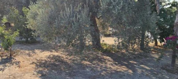 3 Schlafzimmer Villa in Moni, Cyprus, Nr. 18732 4