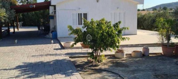 3 Schlafzimmer Villa in Moni, Cyprus, Nr. 18732 6