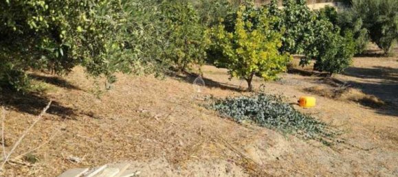 3 Schlafzimmer Villa in Moni, Cyprus, Nr. 18732 12