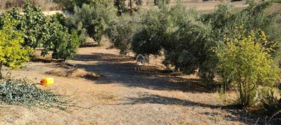 3 Schlafzimmer Villa in Moni, Cyprus, Nr. 18732 11