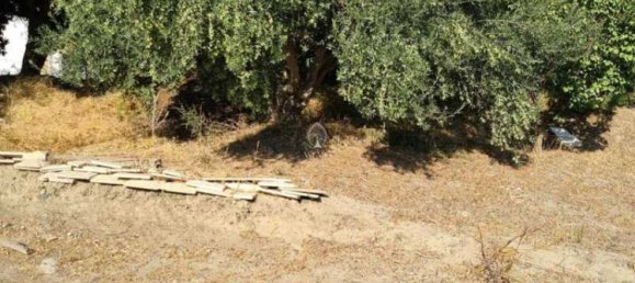 3 Schlafzimmer Villa in Moni, Cyprus, Nr. 18732 14