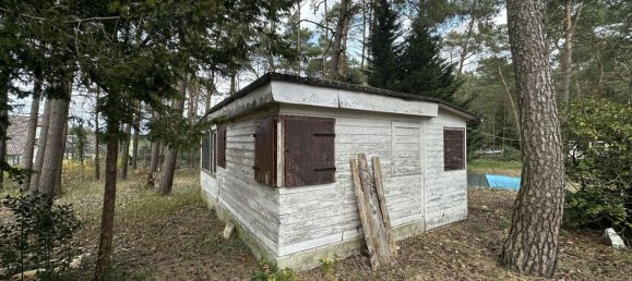 Земельный участок в Анхальт-Биттерфельд, Германия № 265649 7