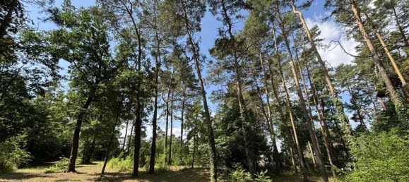 Земельный участок в Анхальт-Биттерфельд, Германия № 265649 2