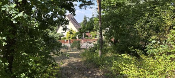 Земельный участок в Анхальт-Биттерфельд, Германия № 265649 3