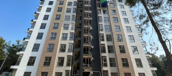 2-Zimmer Wohnung in Avsallar, Turkey, Nr. 14615 4