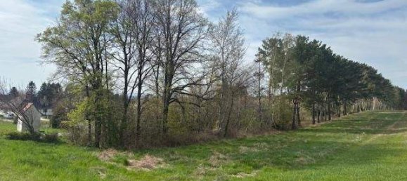 Grundstück in Kaisersdorf, Austria, Nr. 136947 3