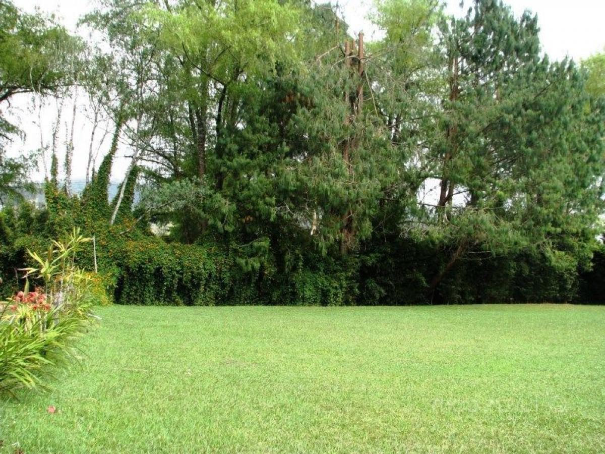 Terreno em Antioquia, Colombia N.º 356