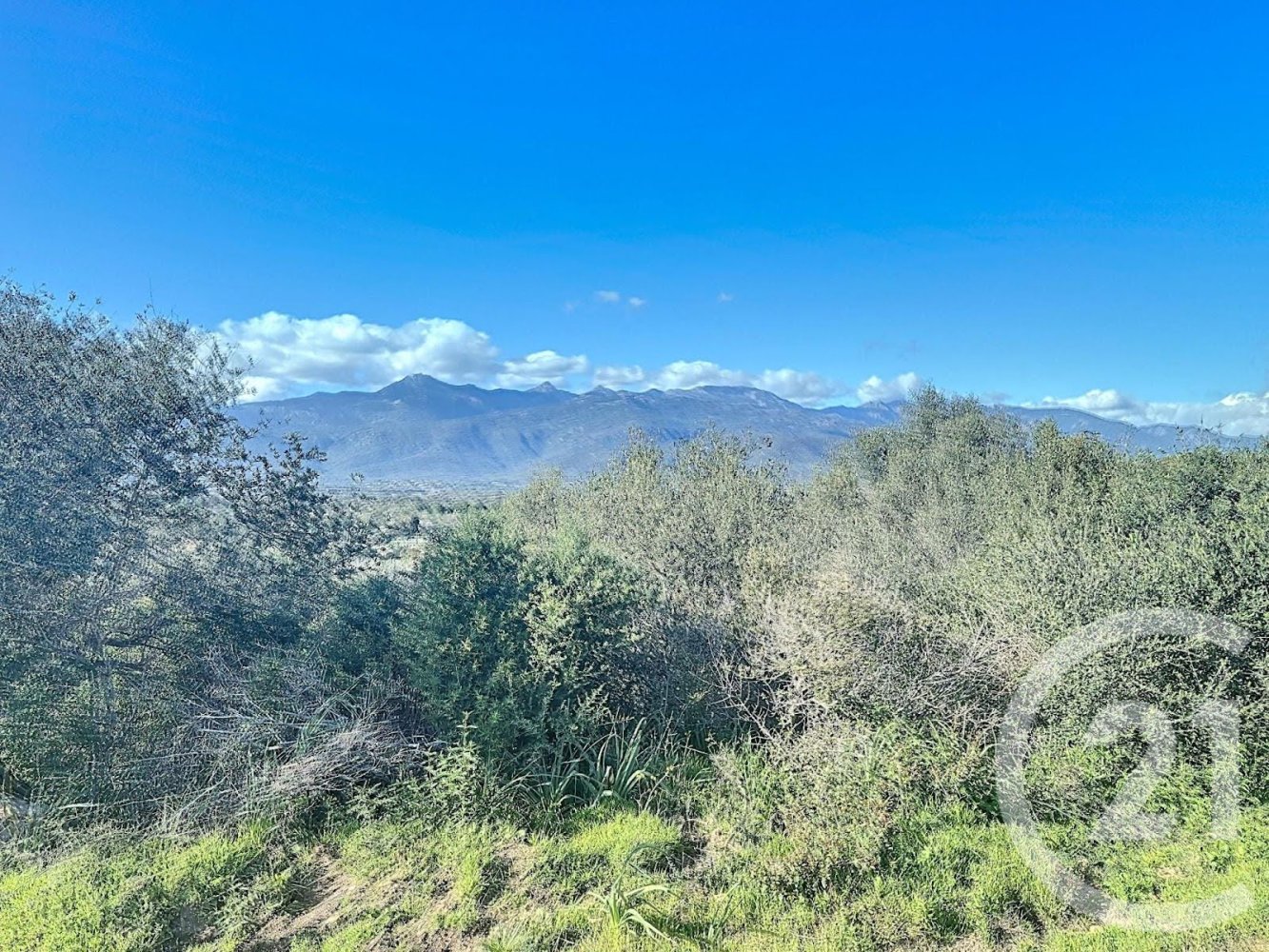 Земельный участок 804м² в Порто-Веккьо, Франция № 85246