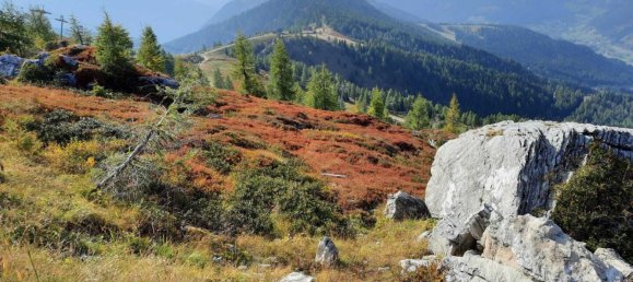 Terrain à Radenthein, Austria No. 65454 2