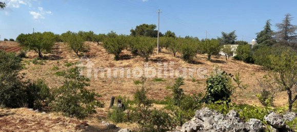 Terreno en Ostuni, Italy 10000 m² No. 279646 11