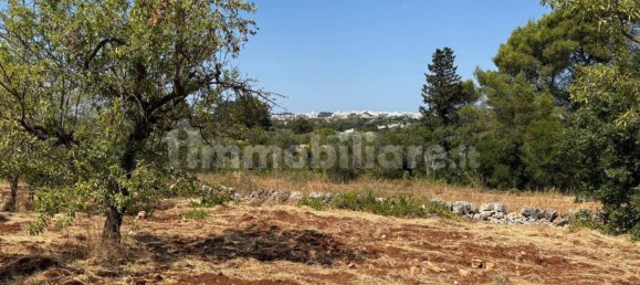 Terreno en Ostuni, Italy 10000 m² No. 279646 7