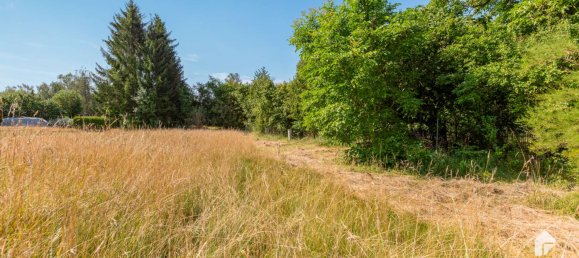 4 Schlafzimmer Haus in Leipzig, Germany, Nr. 157509 7