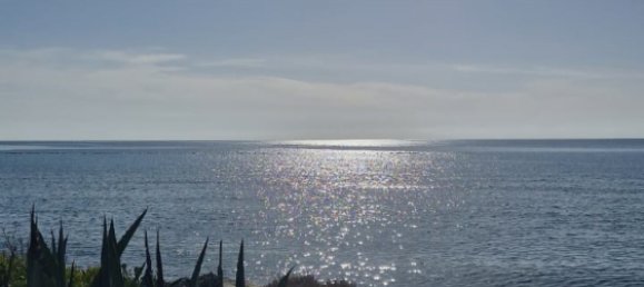 6890 m² terreno en venta en Softades, Larnaka, Cyprus № 174418 5