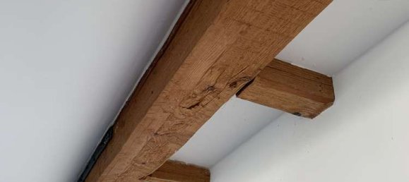 3 bedrooms Villa in Cologne, Germany No. 356019 42