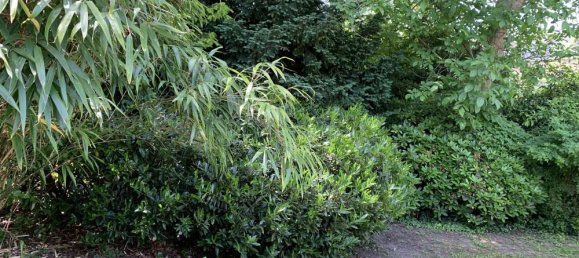 3 bedrooms Villa in Cologne, Germany No. 356019 17