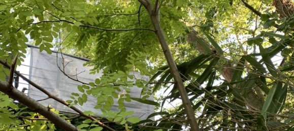 3 bedrooms Villa in Cologne, Germany No. 356019 22