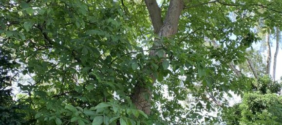 3 bedrooms Villa in Cologne, Germany No. 356019 15