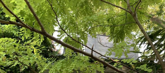 3 bedrooms Villa in Cologne, Germany No. 356019 21