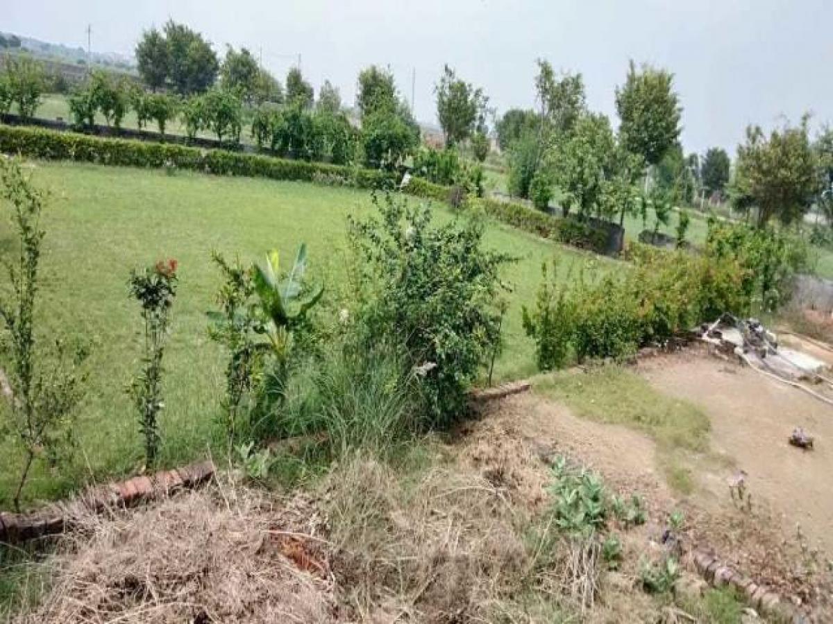 Grundstück in Faridabad, India, Nr. 30598