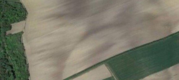  Land in Gaweinstal, Austria No. 15188 6