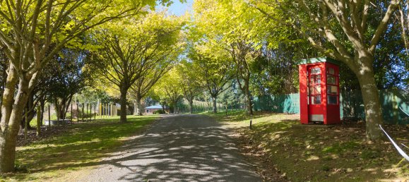4 Schlafzimmer Haus in Horowhenua, New Zealand, Nr. 66 6